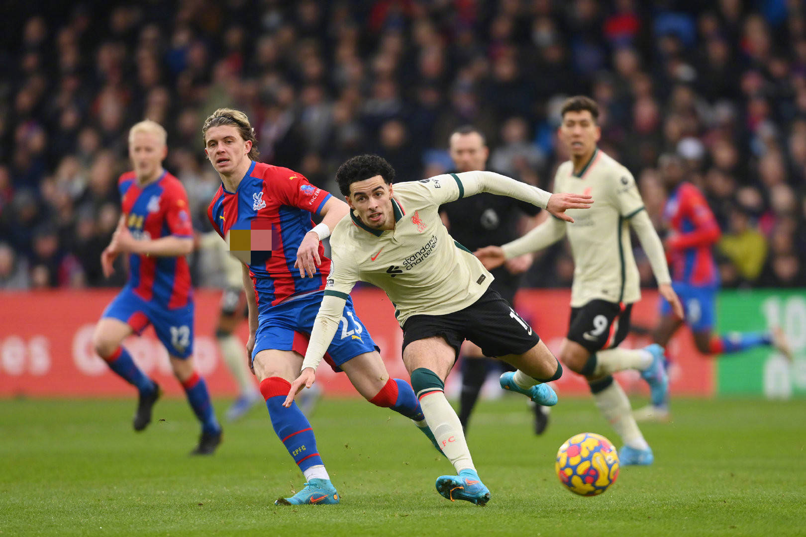 未來樹立自 未來樹立自